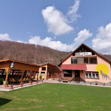 Pensiunea Colt Alb Băile Homorod エクステリア 写真
