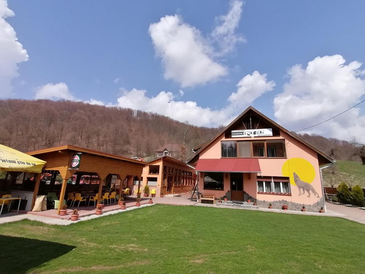 Pensiunea Colt Alb Băile Homorod エクステリア 写真