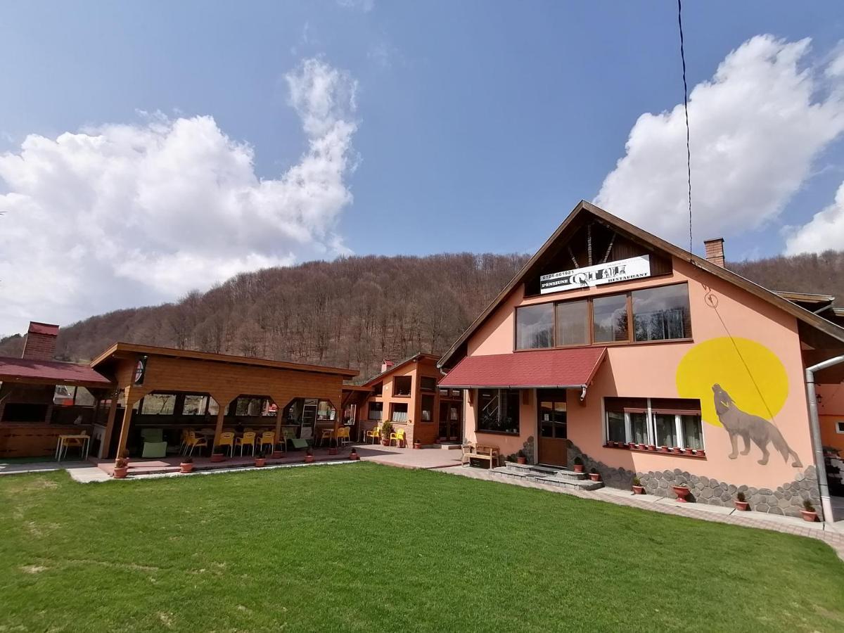 Pensiunea Colt Alb Băile Homorod エクステリア 写真