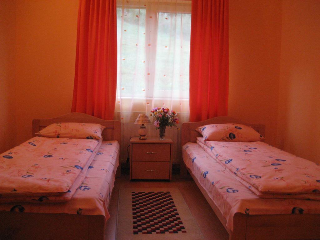 Pensiunea Colt Alb Băile Homorod エクステリア 写真