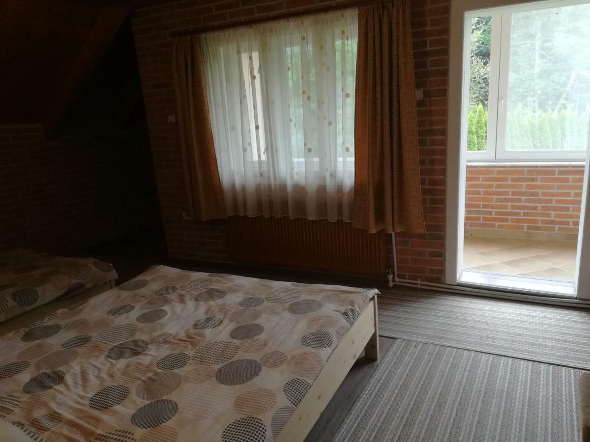 Pensiunea Colt Alb Băile Homorod エクステリア 写真